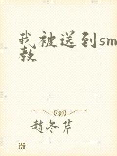 我被送到sm调教封面