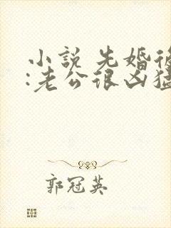 小说 先婚后爱:老公很凶猛