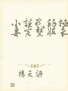 小说我的极品娇妻完整版未删减小说