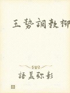 玉势调教柳真真封面