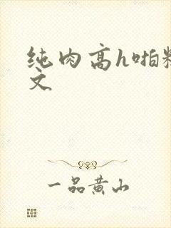 纯肉高h啪糙汉文