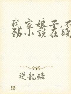 我家娘子,不对劲小说在线阅读