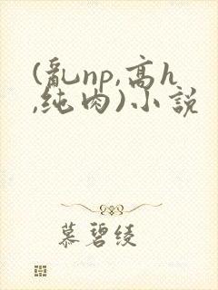 (乱np,高h,纯肉)小说
