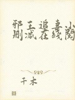 邪王追妻小说无删减在线阅读