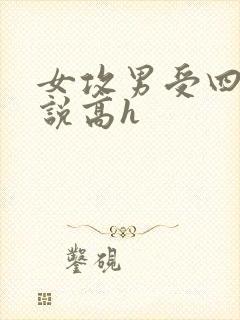 女攻男受四爱小说高h