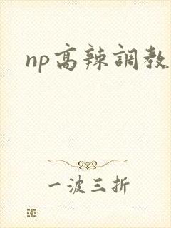 np高辣调教文