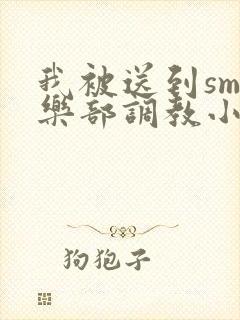 我被送到sm俱乐部调教小说