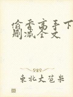 偷香高手下载无删减全文