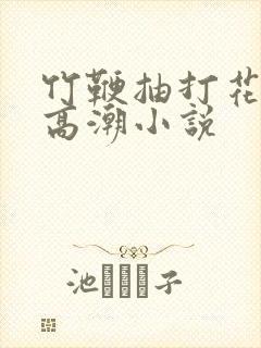 竹鞭抽打花蒂h高潮小说