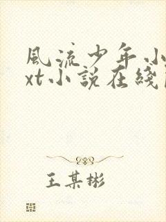 风流少年小杰txt小说在线阅读