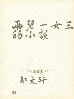 两儿一女三胞胎的小说