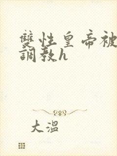 双性皇帝被大臣调教h