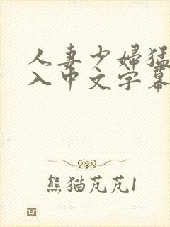 人妻少妇猛烈进入中文字幕封面