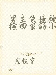 男主失忆被女主捡回家的小说