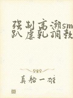 强制高潮sm跪趴虐乳调教文