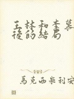 王林和李慕婉最后的结局封面