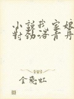 小说我家娘子不对劲洛青舟阅读