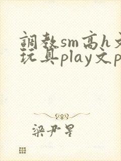 调教sm高h文玩具play文po文