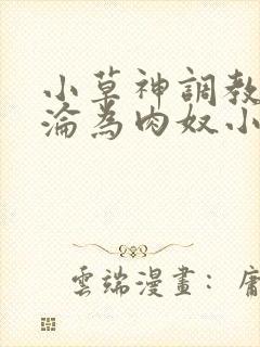 小草神调教喷水沦为肉奴小说封面