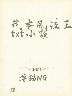 我本风流王一凡txt小说封面