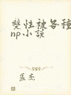 双性被各种淫玩np小说