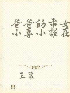 爸爸的乖女儿林小喜小说在线阅读封面