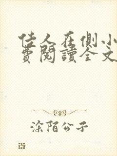 佳人在侧小说免费阅读全文无弹窗