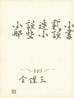 小说连载小说有哪些小说书单好看