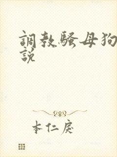 调教骚母狗 小说封面