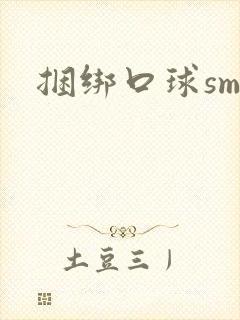 捆绑口球sm