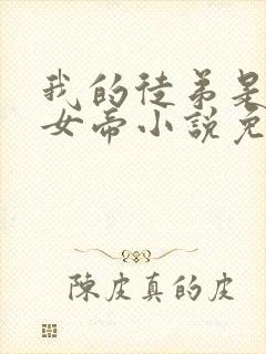 我的徒弟是重生女帝小说免费阅读全文封面