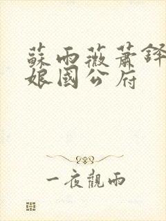 苏雨薇萧铎柳姨娘国公府