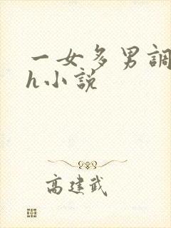 一女多男调教高h小说