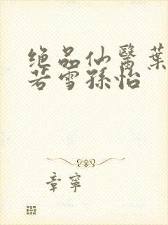 绝品仙医叶辰夏若雪孙怡