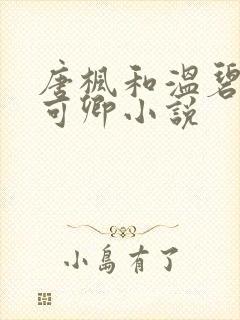 唐枫和温碧芸秦可卿小说