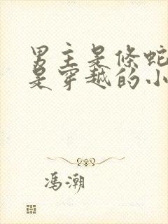 男主是条蛇女主是穿越的小说