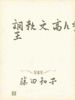 调教文高h双男主