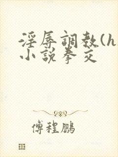 淫辱调教(h)小说拳交