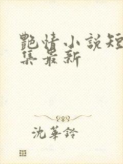 艳情小说短篇合集最新封面