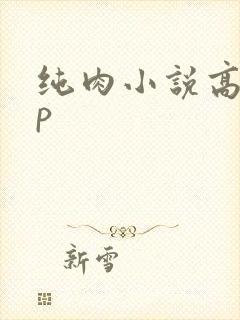 纯肉小说高hnp