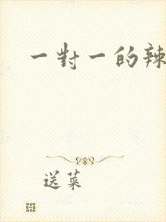 一对一的辣文