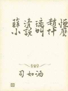 薛清璃赵恒原著小说叫什么