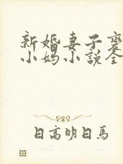 新婚妻子变成了小妈小说全文阅读