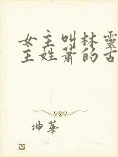 女主叫林灵,男主姓萧的古代小说封面