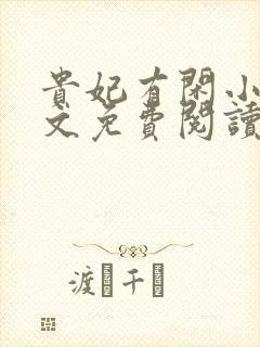 贵妃有闲小说全文免费阅读