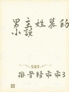 男主姓慕的现代小说