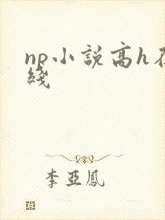 np小说高h在线封面