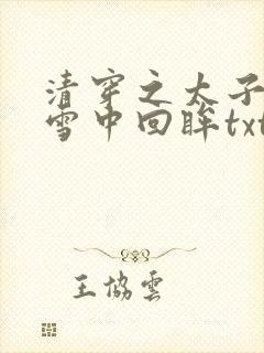 清穿之太子娇妃雪中回眸txt