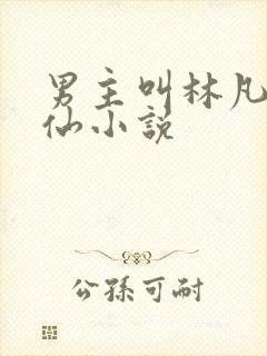 男主叫林凡的修仙小说