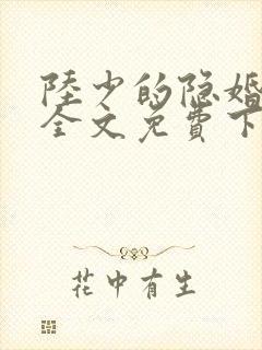 陆少的隐婚罪妻全文免费下载